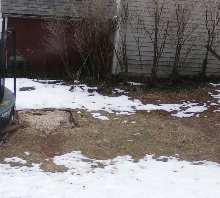 No more swing set 2010