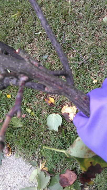 Five, six -- Pick up sticks