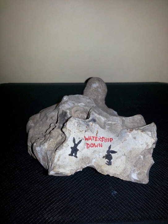 watership down out of white rock