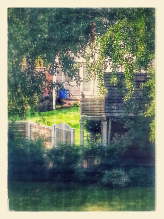 plastic owl from the window