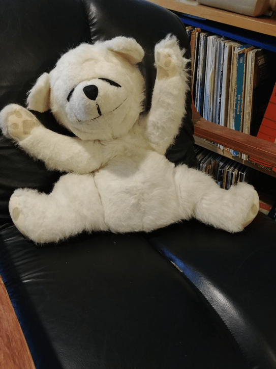 Chuckles the polar bear