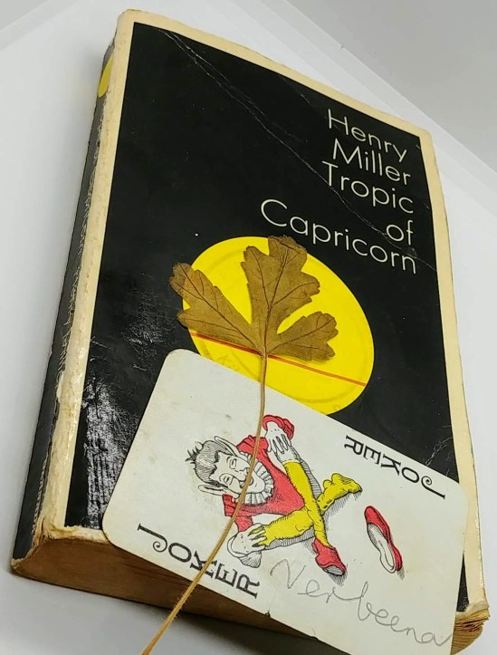 Tropic of Capricorn, dried verbena and a playing card