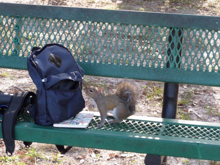 Not David Bowie (a squirrel)