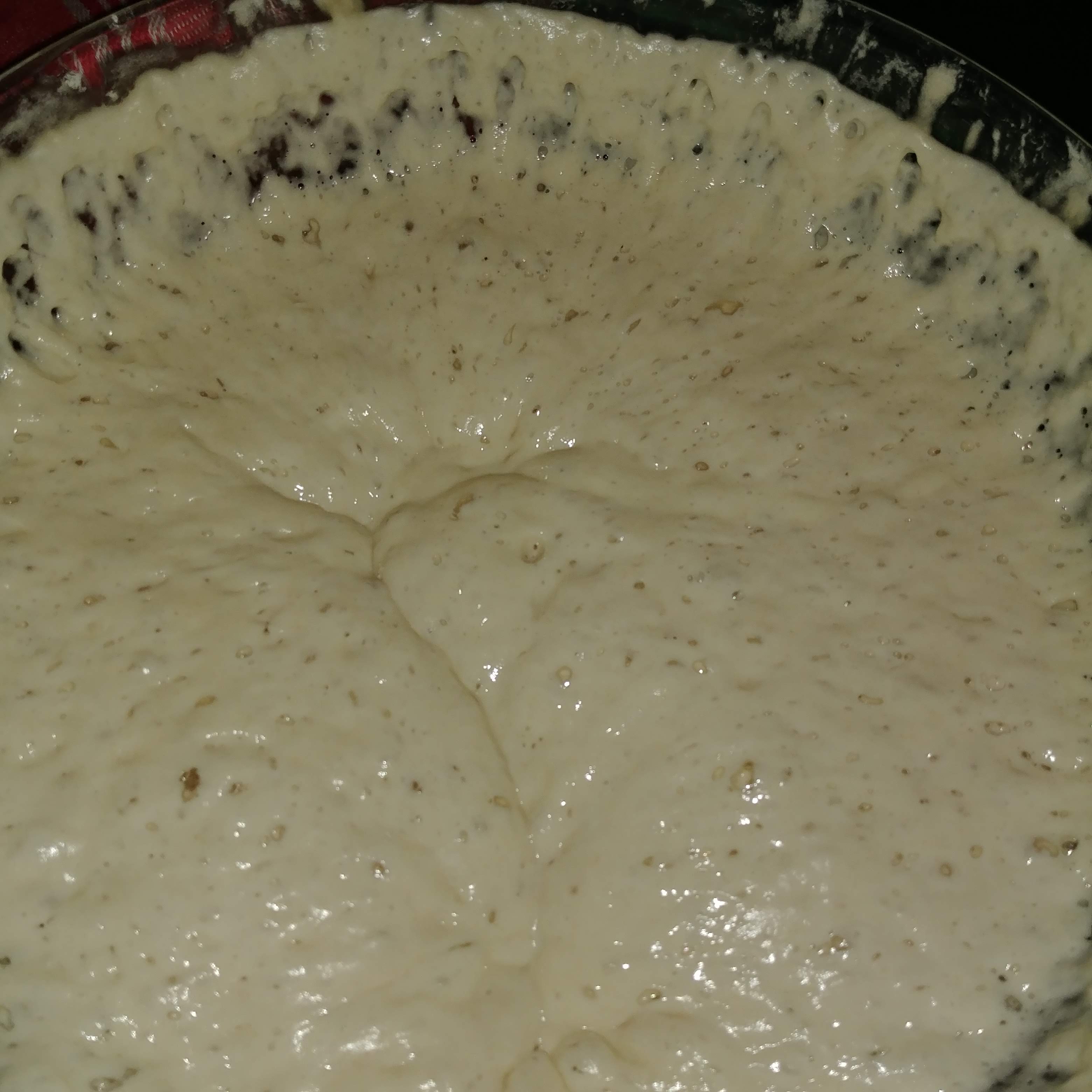 7 quarts of bubbling ripe sourdough starter.