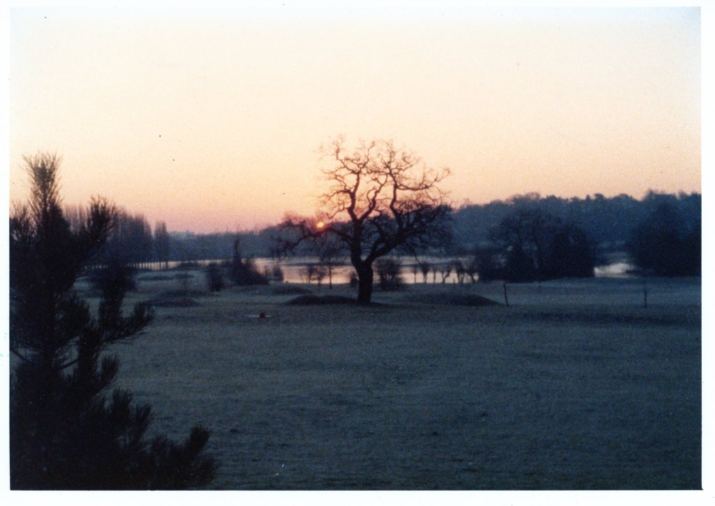 Landscape showing the sunrise over trees in the background, a body of water in the middle ground, and a tree in the center of the foreground.